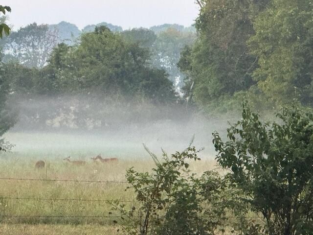 1908 State Highway Jj, Sparta, MO 65753