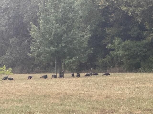 1908 State Highway Jj, Sparta, MO 65753