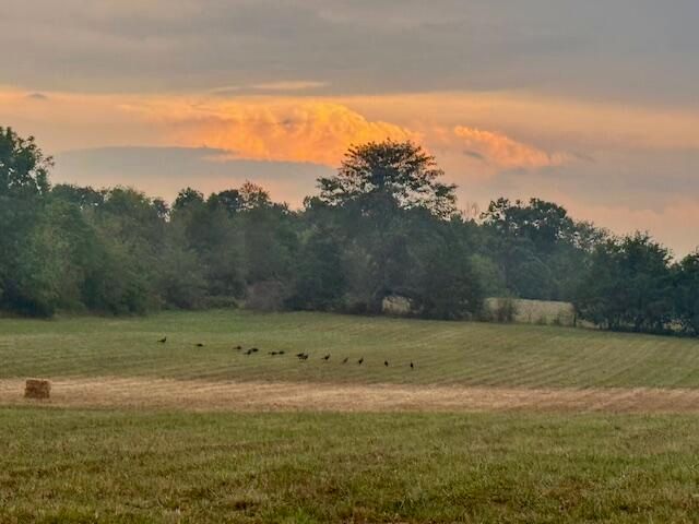 1908 State Highway Jj, Sparta, MO 65753