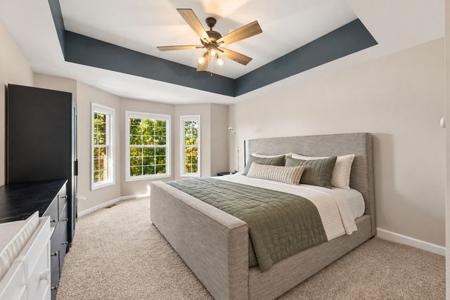 808 Shandrew Drive 808, Naperville, IL 60540