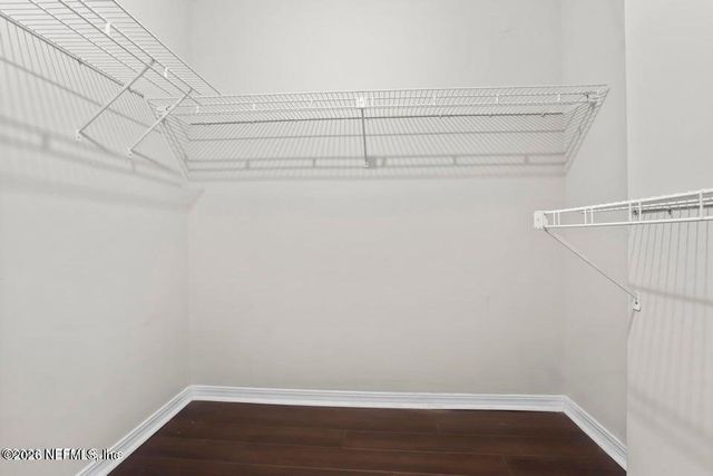 3520 PEERLESS DOCK Court, Jacksonville, FL 32223