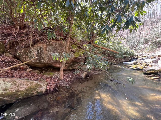 0 Heaton Branch Road, Butler, TN 37640