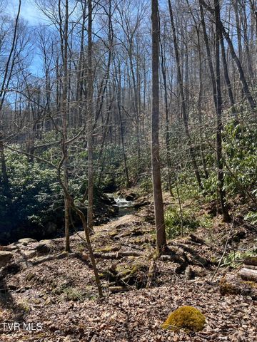 0 Heaton Branch Road, Butler, TN 37640