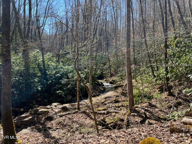 0 Heaton Branch Road, Butler, TN 37640