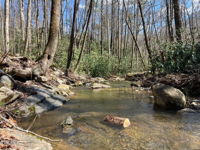 0 Heaton Branch Road, Butler, TN 37640
