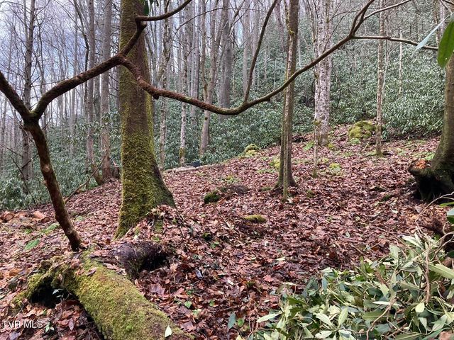 0 Heaton Branch Road, Butler, TN 37640