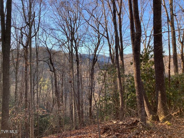 0 Heaton Branch Road, Butler, TN 37640