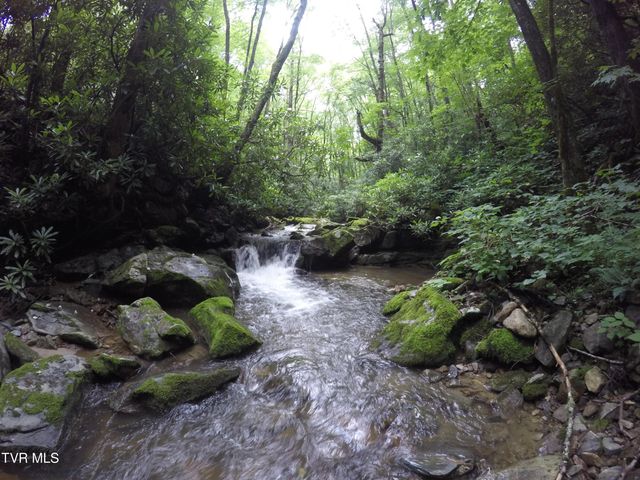 0 Heaton Branch Road, Butler, TN 37640