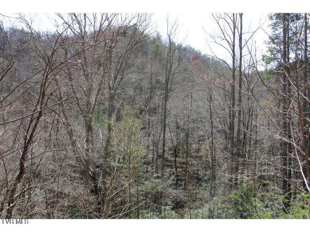 0 Heaton Branch Road, Butler, TN 37640