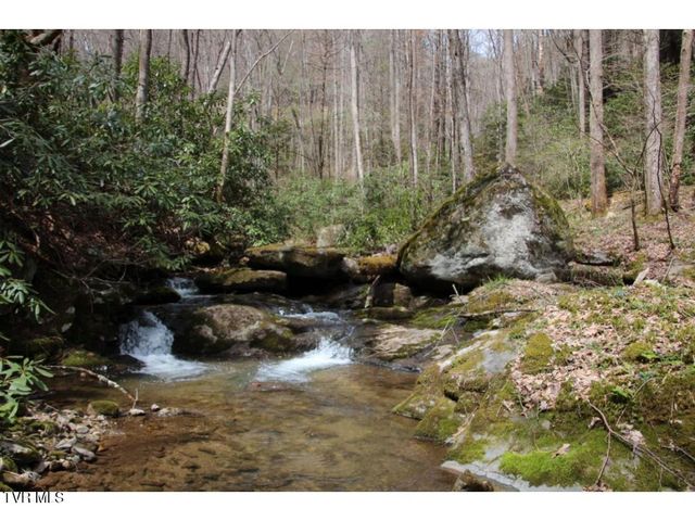 0 Heaton Branch Road, Butler, TN 37640