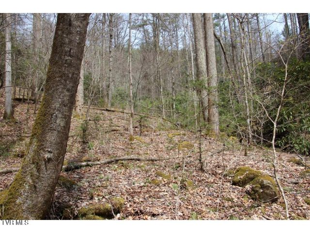 0 Heaton Branch Road, Butler, TN 37640