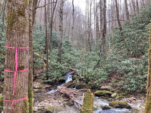 0 Heaton Branch Road, Butler, TN 37640