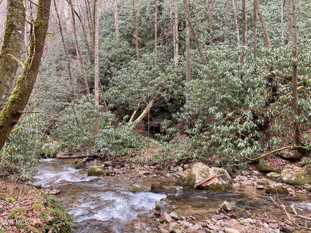 0 Heaton Branch Road, Butler, TN 37640
