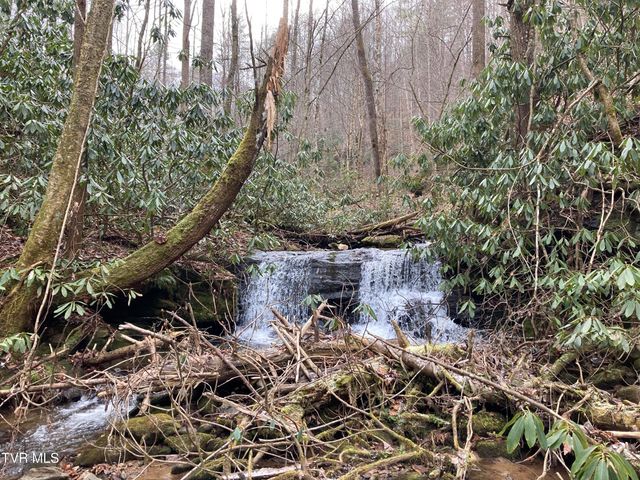 0 Heaton Branch Road, Butler, TN 37640