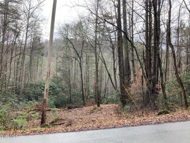 0 Heaton Branch Road, Butler, TN 37640