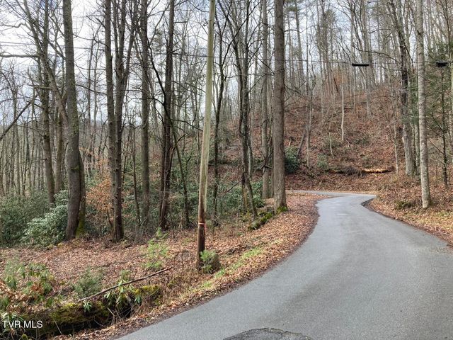 0 Heaton Branch Road, Butler, TN 37640