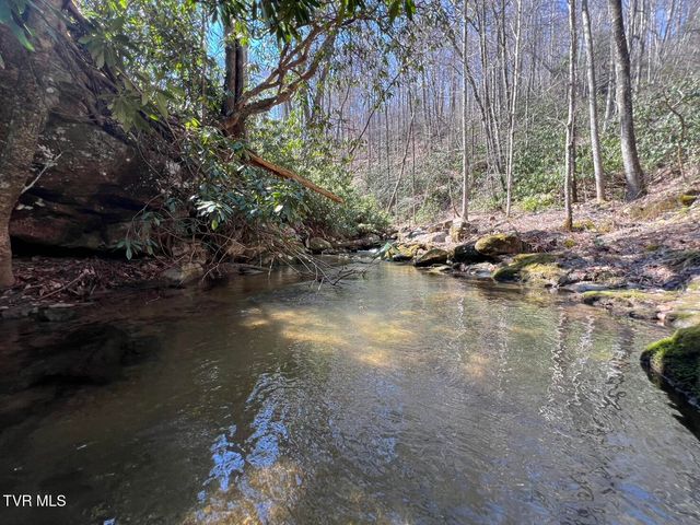 0 Heaton Branch Road, Butler, TN 37640