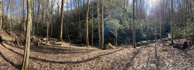 0 Heaton Branch Road, Butler, TN 37640