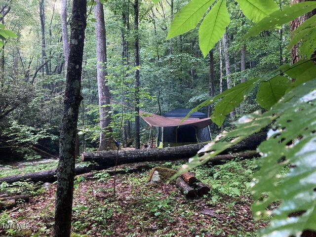 0 Heaton Branch Road, Butler, TN 37640