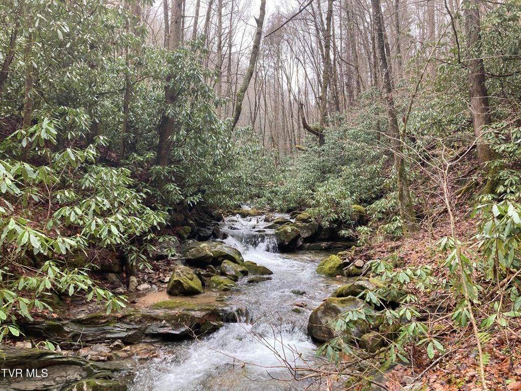 0 Heaton Branch Road, Butler, TN 37640