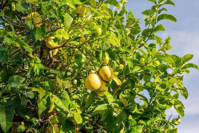 400 Harbor Light Rd, Alameda, CA 94501