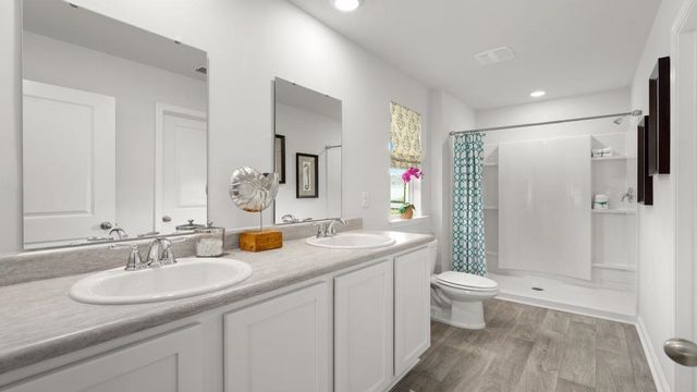 284 Red Buckeye Dr., Conway, SC 29527