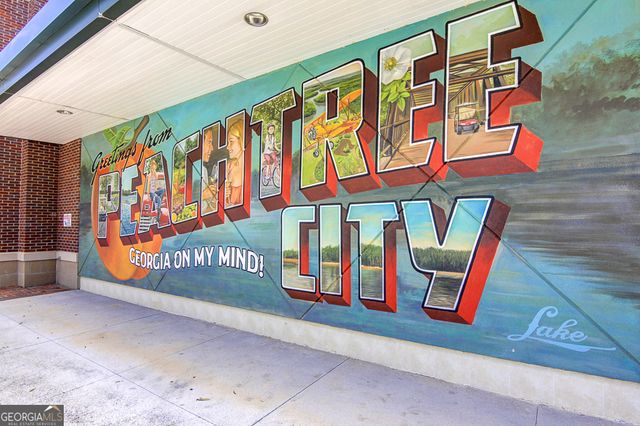 315 Corrigan Tr, Peachtree City, GA 30269