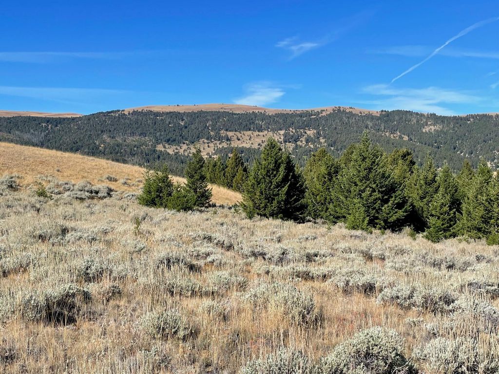 200 MOUNTAIN VIEW TRAIL, WHITE SULPHUR SPRINGS, MT 59645, WHITE SULPHUR