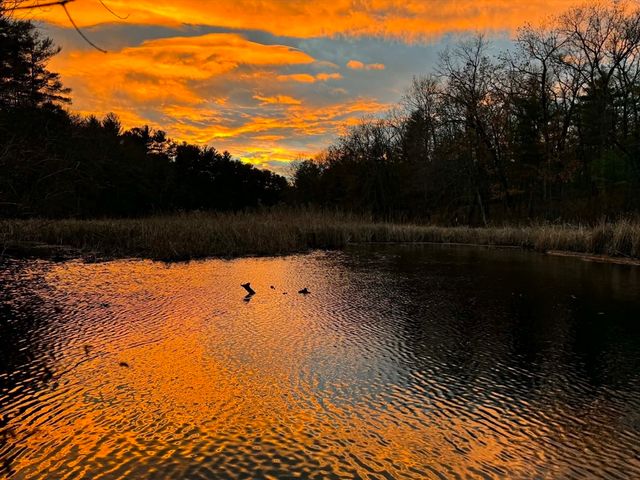 439 Lowell St, Andover, MA 01810