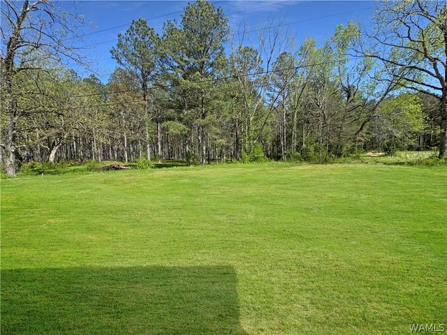 13765 Frank Lary, Northport, AL 35475