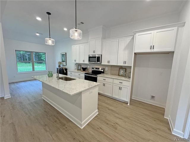 13765 Frank Lary, Northport, AL 35475