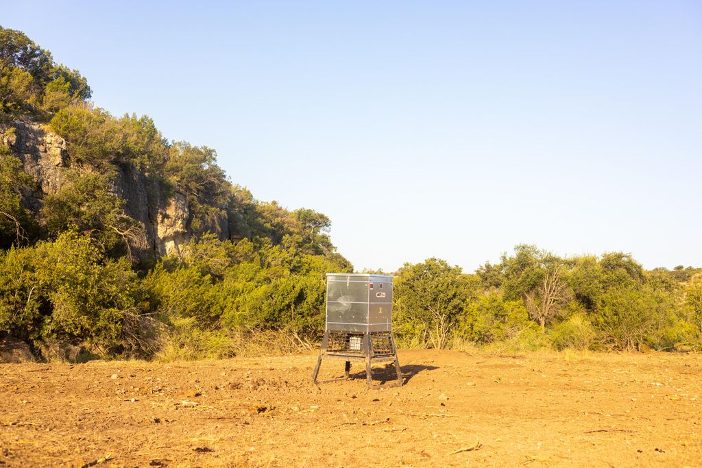 Image 13 of property listing at 0 Sutton County Road 412, Sonora, TX 76950