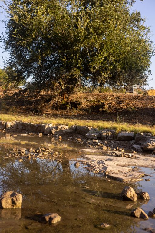 Image 17 of property listing at 0 Sutton County Road 412, Sonora, TX 76950