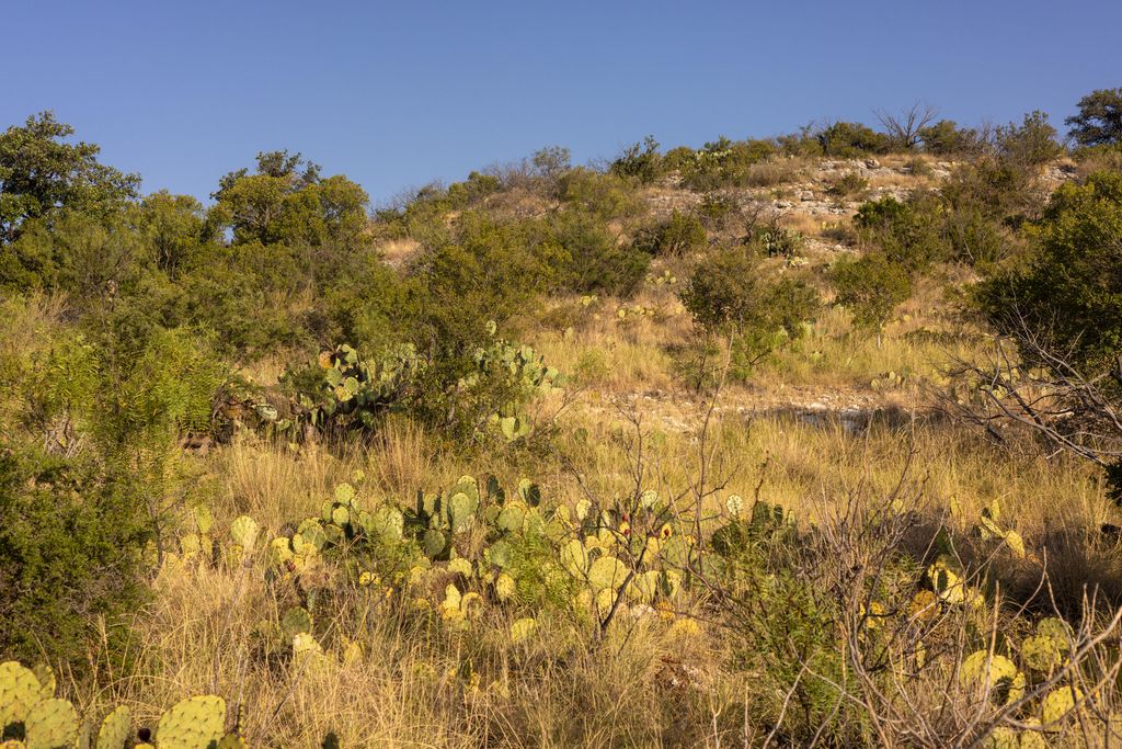 Image 22 of property listing at 0 Sutton County Road 412, Sonora, TX 76950