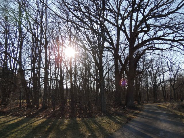 Lot 97 Merry Oaks Drive, Sycamore, IL 60178