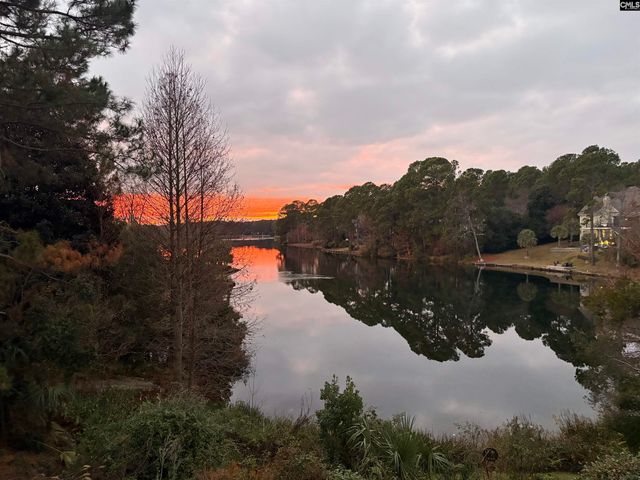 310 Aiken Hunt Circle, Columbia, SC 29223