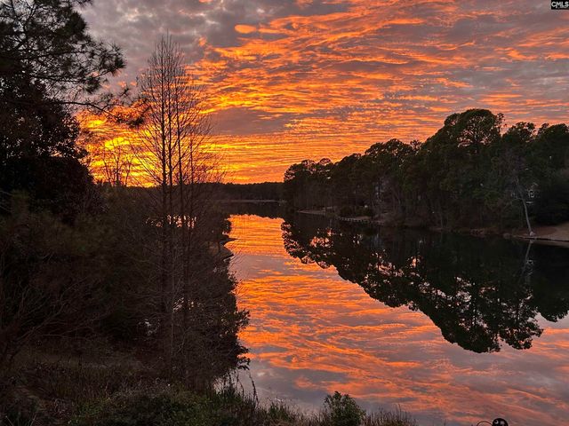 310 Aiken Hunt Circle, Columbia, SC 29223