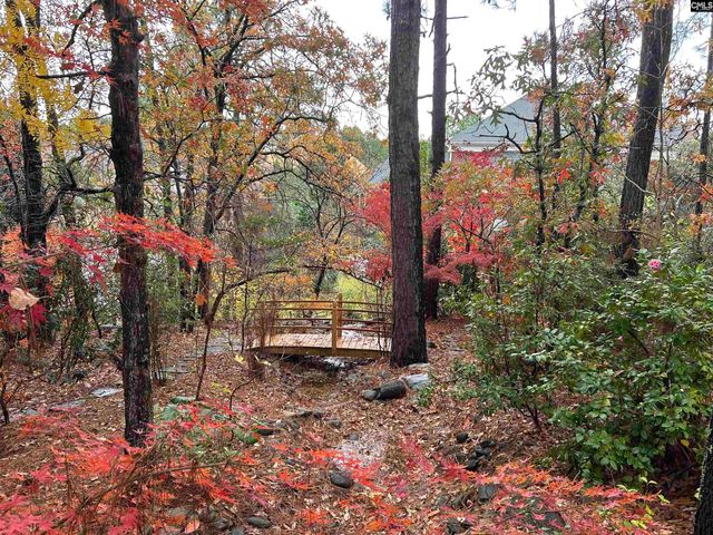 310 Aiken Hunt Circle, Columbia, SC 29223