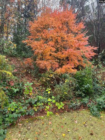 310 Aiken Hunt Circle, Columbia, SC 29223