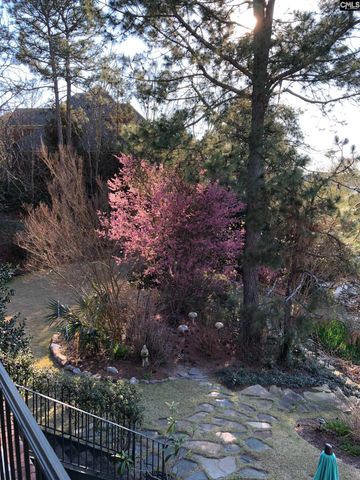 310 Aiken Hunt Circle, Columbia, SC 29223