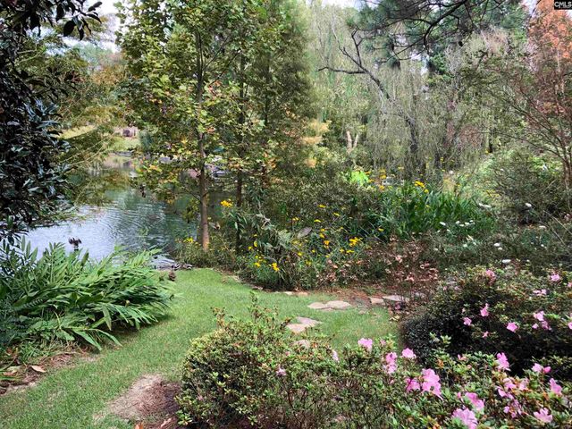 310 Aiken Hunt Circle, Columbia, SC 29223