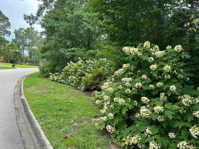 310 Aiken Hunt Circle, Columbia, SC 29223