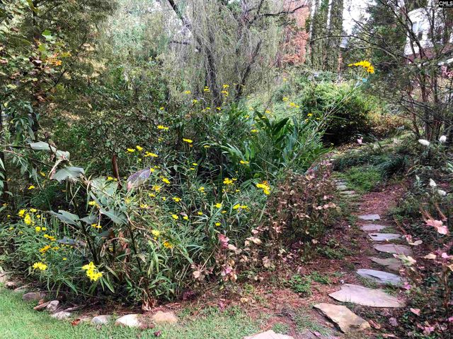 310 Aiken Hunt Circle, Columbia, SC 29223