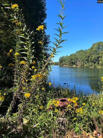 310 Aiken Hunt Circle, Columbia, SC 29223