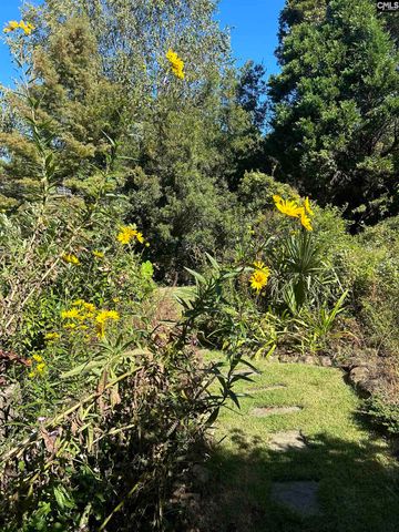 310 Aiken Hunt Circle, Columbia, SC 29223