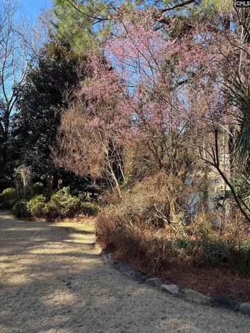 310 Aiken Hunt Circle, Columbia, SC 29223