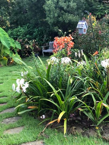 310 Aiken Hunt Circle, Columbia, SC 29223