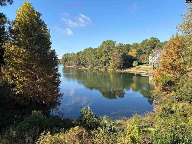 310 Aiken Hunt Circle, Columbia, SC 29223