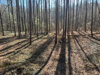 3 Old Miller Rock Road, Ellijay, GA 30540