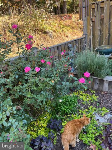 1943 MARCONI CIR, Annapolis, MD 21401